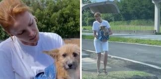 Vídeo emocionante: Ana Hickmann resgata cachorro que foi ‘deixado para morrer’