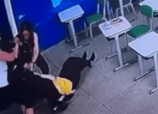 Vídeo mostra professora imobilizando autor de ataque em escola de SP