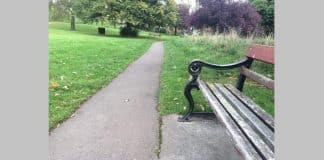 Você consegue localizar o cachorro nesta foto em apenas 11 segundos? Pouca gente consegue