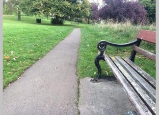 Você consegue localizar o cachorro nesta foto em apenas 11 segundos? Pouca gente consegue