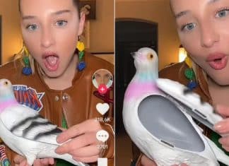 Influenciadora causa controvérsia ao exibir bolsa de pombo comprada por R$ 4 mil