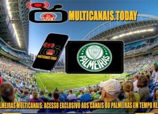 Palmeiras Multicanais: Acesso Exclusivo aos Canais do Palmeiras em Tempo Real