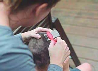 Mãe vegana se recusa a matar os piolhos da filha pequena: “São seres vivos”