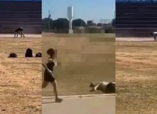 Jovem de 25 anos morre após teste de aptidão física em concurso da PM de MS