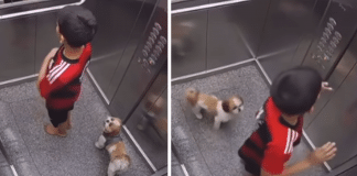 Menino de 11 anos salva sua cachorrinha com a guia pendurada no elevador e vídeo viraliza
