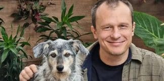 Falece Estopinha, a primeira pet influencer do Brasil