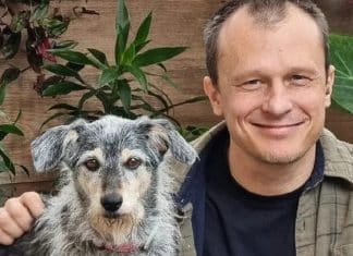 Falece Estopinha, a primeira pet influencer do Brasil