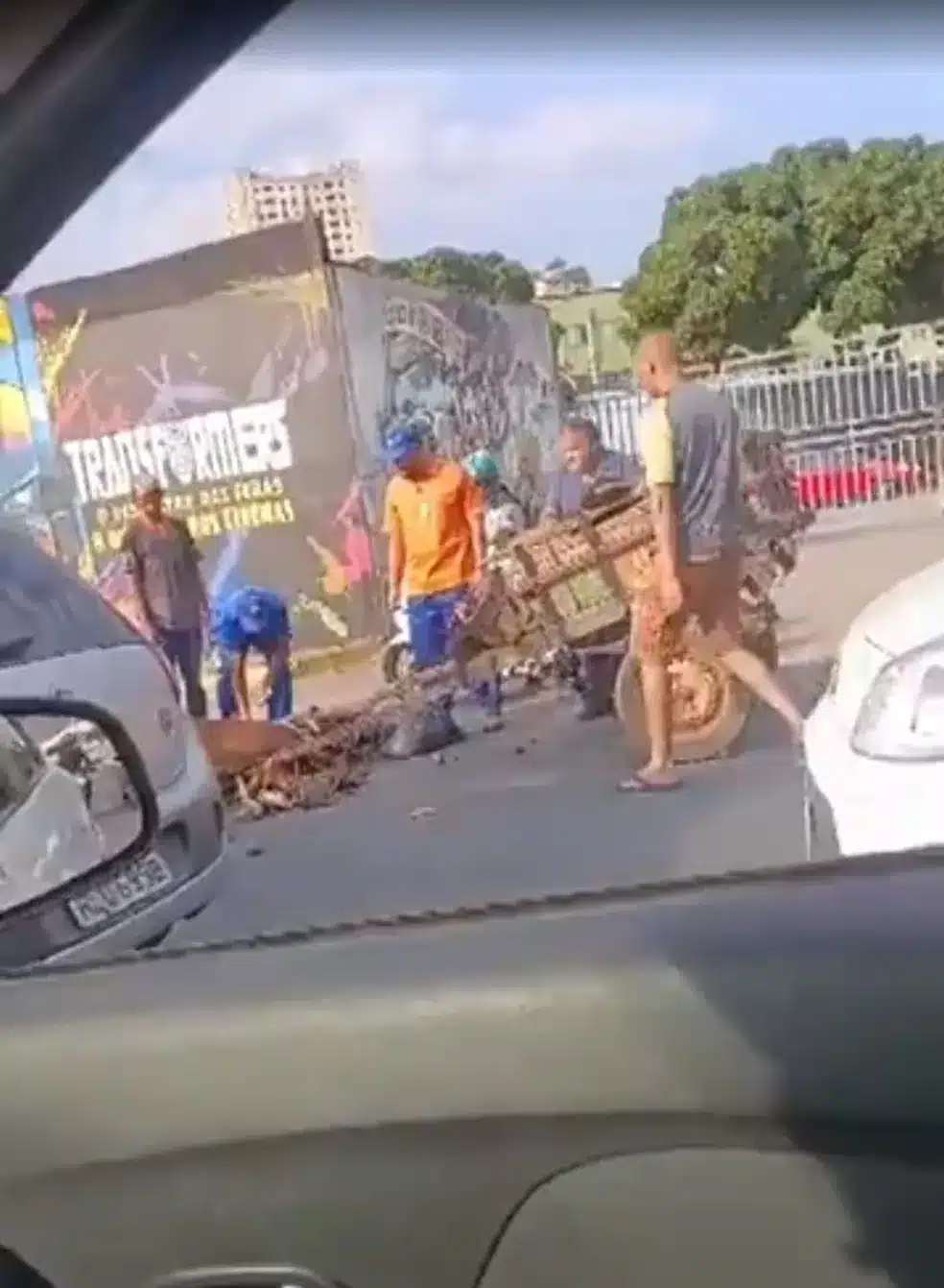 contioutra.com - Cavalo cai por puxar carroça no calor intenso de Belo Horizonte e situação desperta debate