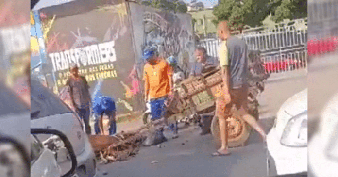 Cavalo cai por puxar carroça no calor intenso de Belo Horizonte e situação desperta debate