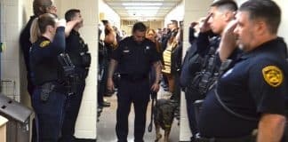 Cadela policial com câncer terminal é homenageada por toda a equipe em seu último dia