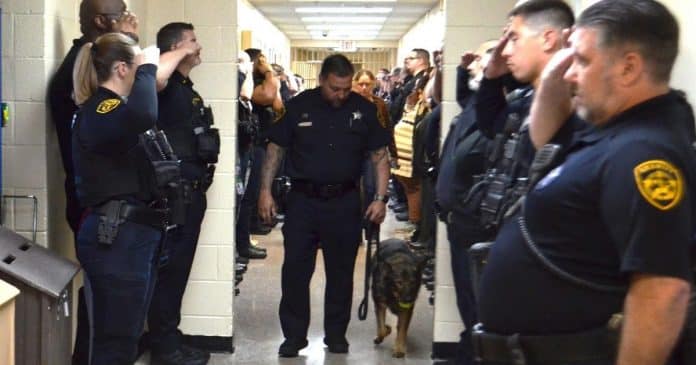 Cadela policial com câncer terminal é homenageada por toda a equipe em seu último dia