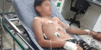 Menino internado pela terceira vez após consumir lagartixa frita sofre com novos sintomas