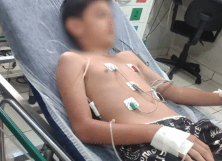 Menino internado pela terceira vez após consumir lagartixa frita sofre com novos sintomas