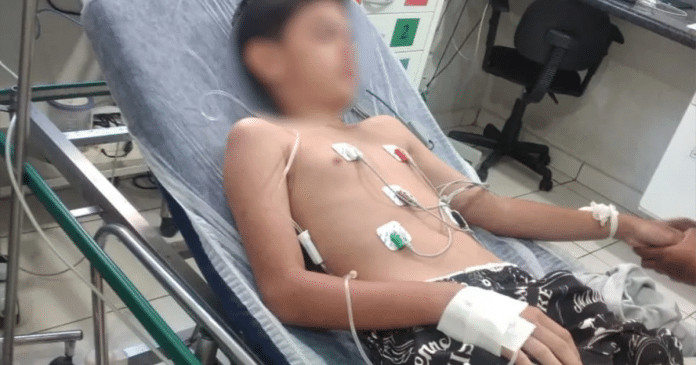 Menino internado pela terceira vez após consumir lagartixa frita sofre com novos sintomas