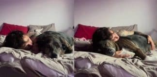 Jovem comove a web ao se despedir de seu cachorro: “Você me prometeu ser eterno”