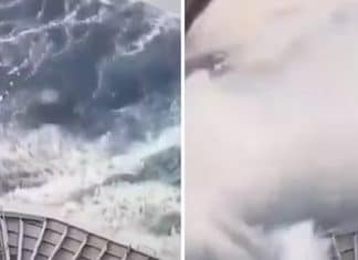 Vídeo chocante mostra onda gigante ‘engolindo’ cruzeiro de luxo na Dinamarca
