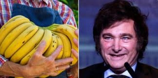 Milei extingue obrigação de salário em moeda e trabalhador pode receber pagamento em banana, carne ou bitcoin Milei extingue obrigação de salário em moeda e trabalhador pode receber pagamento em banana, carne ou bitcoin