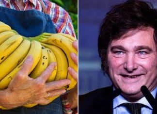 Milei extingue obrigação de salário em moeda e trabalhador pode receber pagamento em banana, carne ou bitcoin