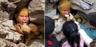 Chineses recebem salário de R$ 6,8 mil para se vestir de macaco e ser alimentados por turistas