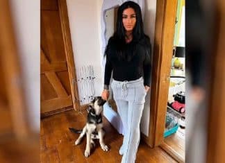 Modelo é muito criticada após doar cachorro por não achá-lo mais ‘instagramável’