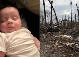 Bebê de 4 meses levado por tornado é encontrado vivo em uma árvore