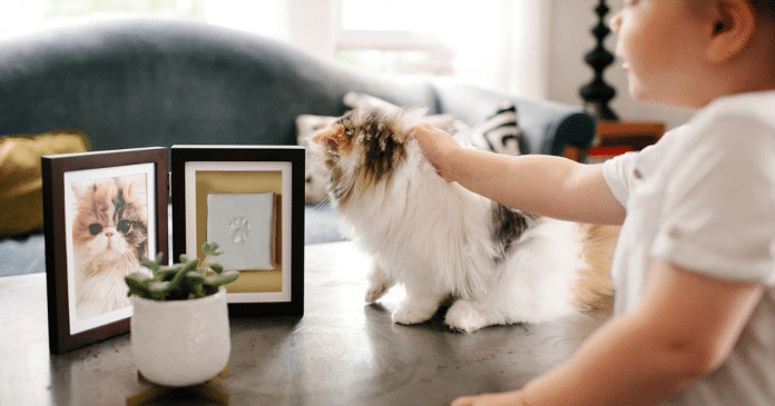 “Curando o Coração Infantil: Memoriais para Animais de Estimação”