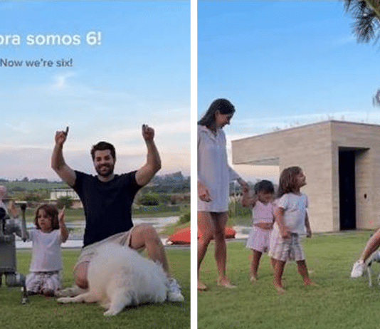 Alok apresenta cachorro-robô como novo membro da família