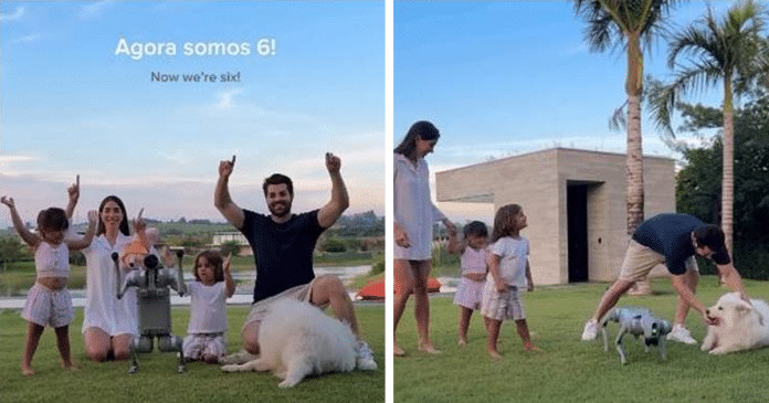 Alok apresenta cachorro-robô como novo membro da família