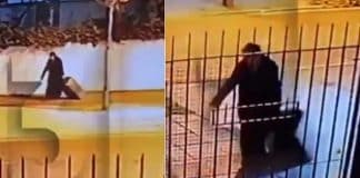 Idosa trajada de freira é flagrada carregando na mala companheira morta há um ano; veja o vídeo