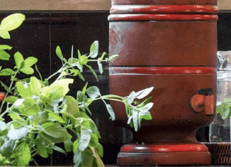 Filtro de barro brasileiro é reconhecido como o melhor do mundo pela ciência