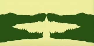 Teste de ilusão de óptica indica se você seria líder ou liderado Teste de ilusão de óptica indica se você seria líder ou liderado