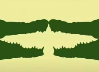 Teste de ilusão de óptica indica se você seria líder ou liderado