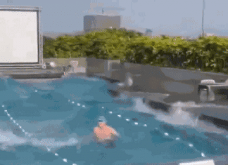 VÍDEO: Turista fica ‘preso’ em piscina de hotel durante forte terremoto em Taiwan