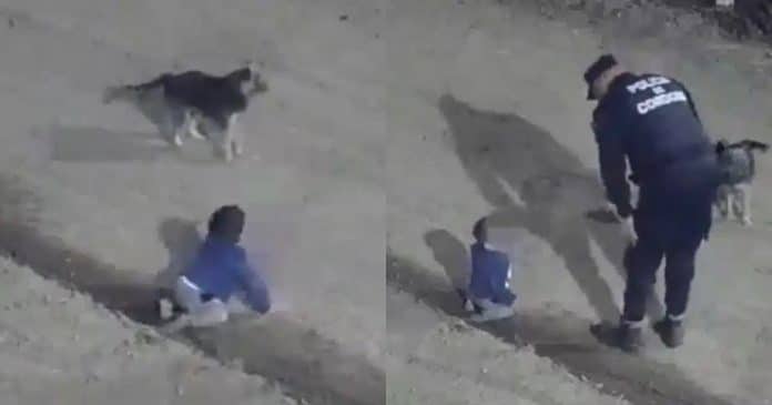 VÍDEO: Bebê de 1 ano foge de casa e é flagrado no meio da rua durante a madrugada; seu cachorro o protegia