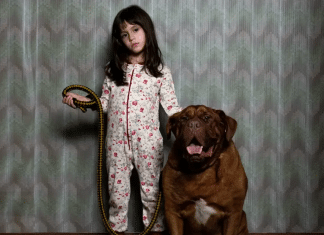 Filme de 2023 considerado um dos mais assombrosos dos últimos tempos chega à Netflix e bomba no TOP 10