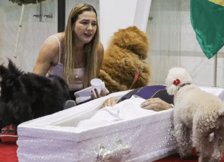 Caixão de Nahim é colocado no chão para despedida dos cachorros durante velório
