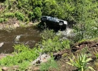 Carro cai em ribanceira e motorista é salvo após um dos seus cães partir para pedir ajuda