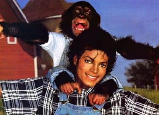 Chimpanzé de Michael Jackson hoje tem 41 anos e recebe R$ 163 mil anuais da fortuna do cantor