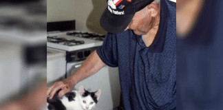 Idoso fica 16h caído no chuveiro e é salvo por seu gatinho