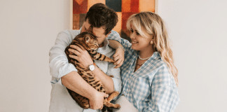 O vínculo entre gatos e seus donos é similar ao que bebês sentem por seus pais.