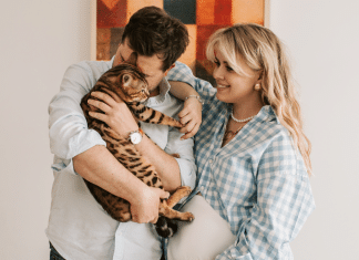 O vínculo entre gatos e seus donos é similar ao que bebês sentem por seus pais.