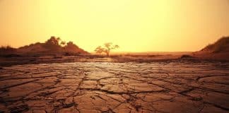 Estudo da Nasa revela que Brasil pode se tornar ‘inabitável’ em 50 anos; entenda