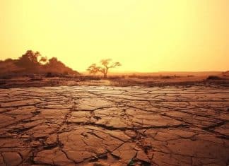 Estudo da Nasa revela que Brasil pode se tornar ‘inabitável’ em 50 anos; entenda