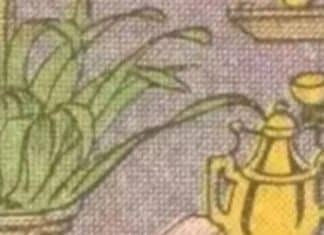 Somente pessoas com QI elevado conseguem encontrar o papagaio nesta ilusão de ótica em 11 segundos