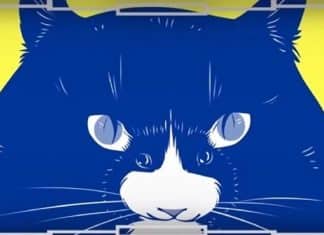 O que você vê primeiro na imagem? Sua resposta indica se você tende a ser mais otimista ou realista