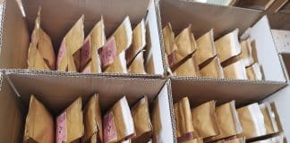 Inovações em Embalagens Sustentáveis: Materiais Biodegradáveis e Reutilizáveis Inovações em Embalagens Sustentáveis: Materiais Biodegradáveis e Reutilizáveis