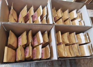 Inovações em Embalagens Sustentáveis: Materiais Biodegradáveis e Reutilizáveis