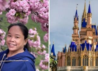 Disney é processada após morte em parque, mas pede arquivamento porque cliente era assinante do Disney +