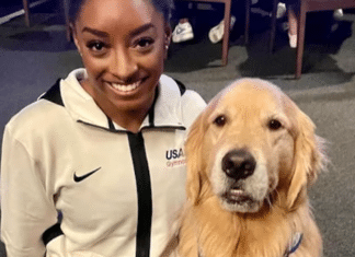 Beacon: O cão terapêutico que ajuda Simone Biles e outras atletas dos EUA