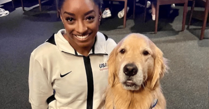 Beacon: O cão terapêutico que ajuda Simone Biles e outras atletas dos EUA